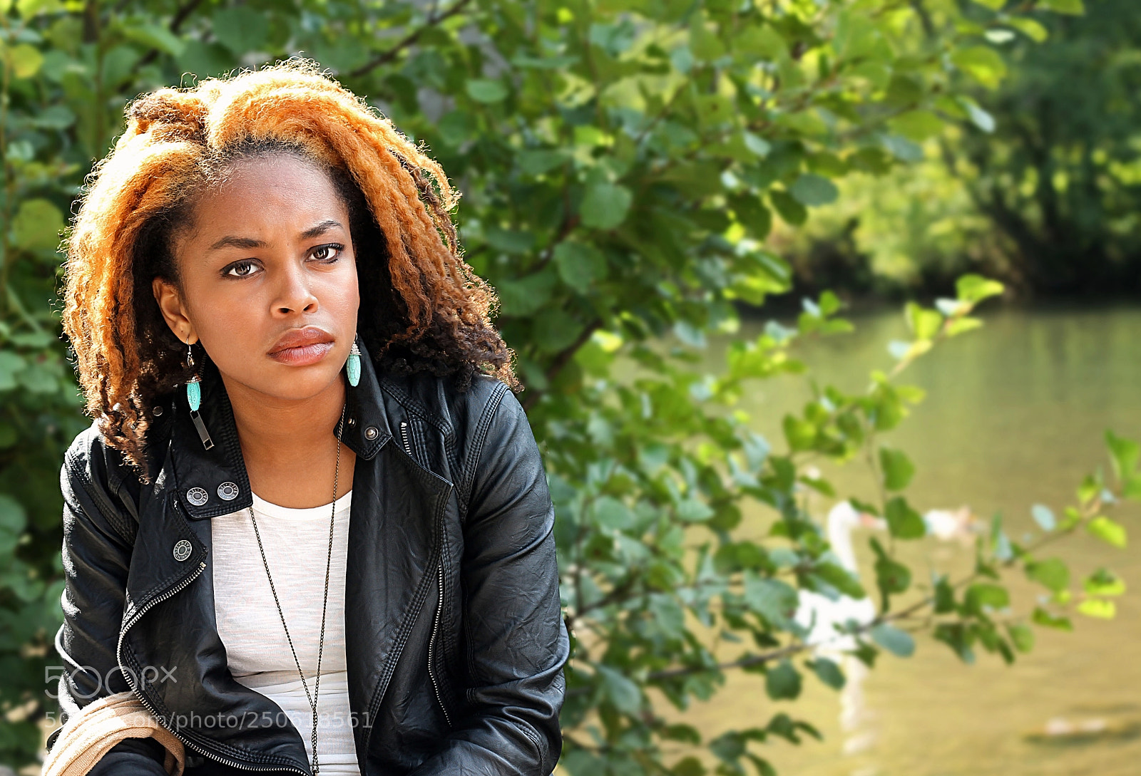 Canon EOS 1100D (EOS Rebel T3 / EOS Kiss X50) sample photo. The lioness photography