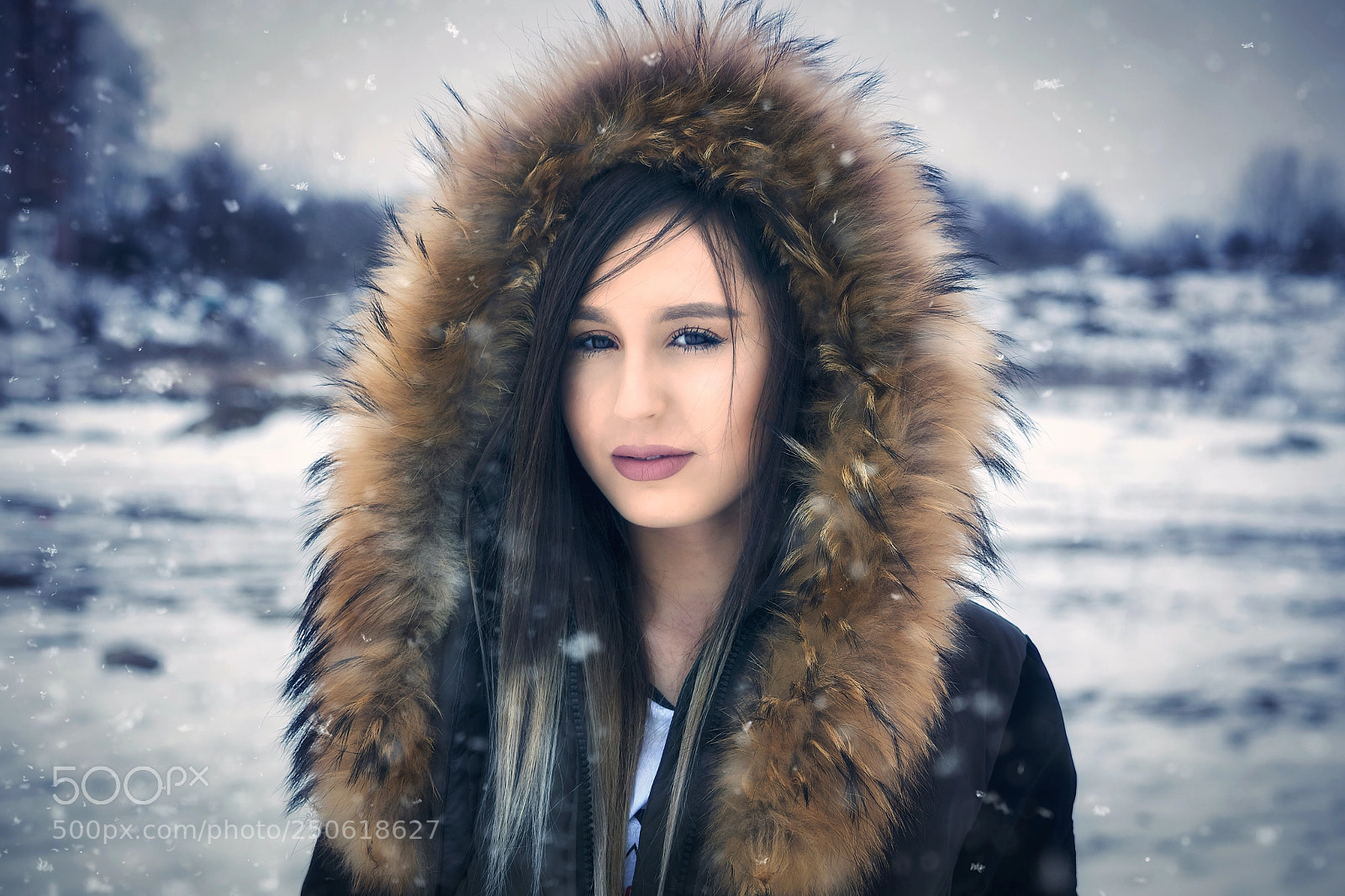 Nikon D3300 sample photo. Winter is coming ❄️ photography