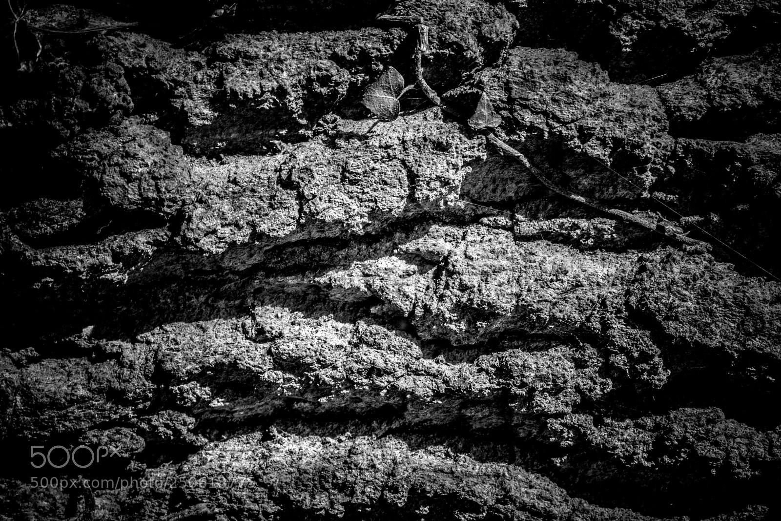 Sony a7 II sample photo. Dsc photography