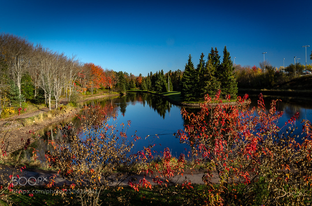 Nikon D7000 sample photo. Fall reflection photography