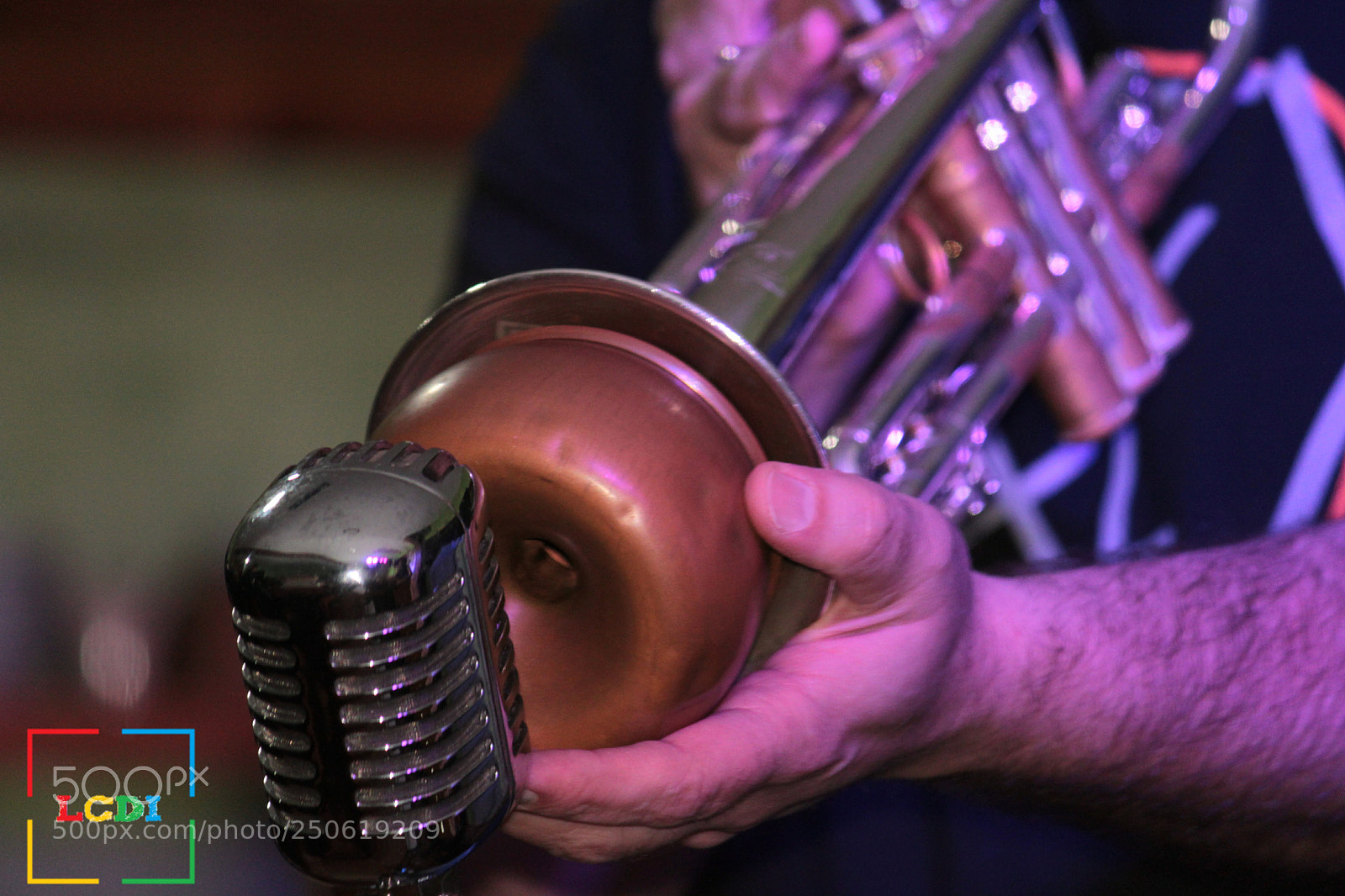 Canon EOS 500D (EOS Rebel T1i / EOS Kiss X3) sample photo. Trumpet photography