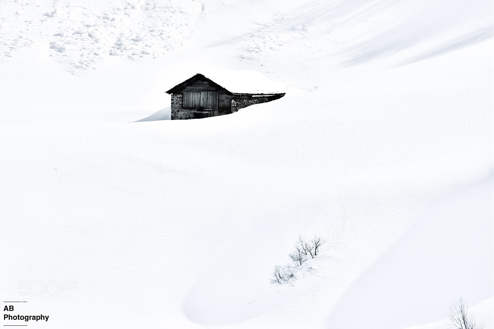 Nikon D7200 sample photo. Surrounded by snow ... photography