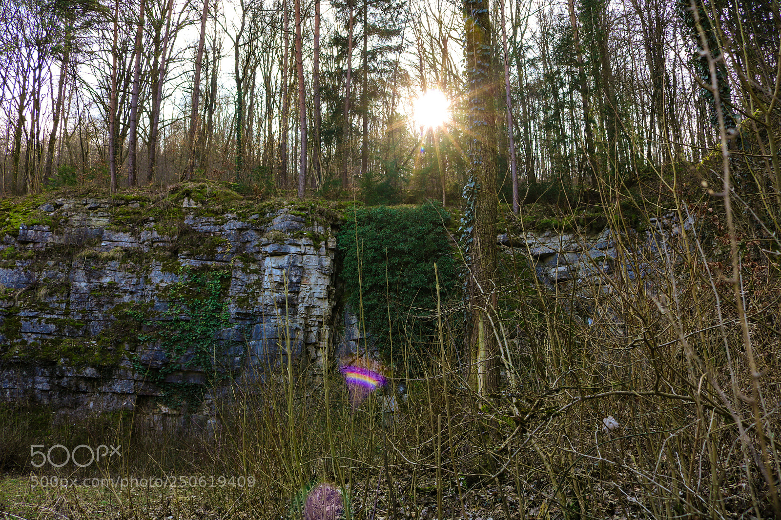 Canon EOS 750D (EOS Rebel T6i / EOS Kiss X8i) sample photo. Alter steinbruch photography