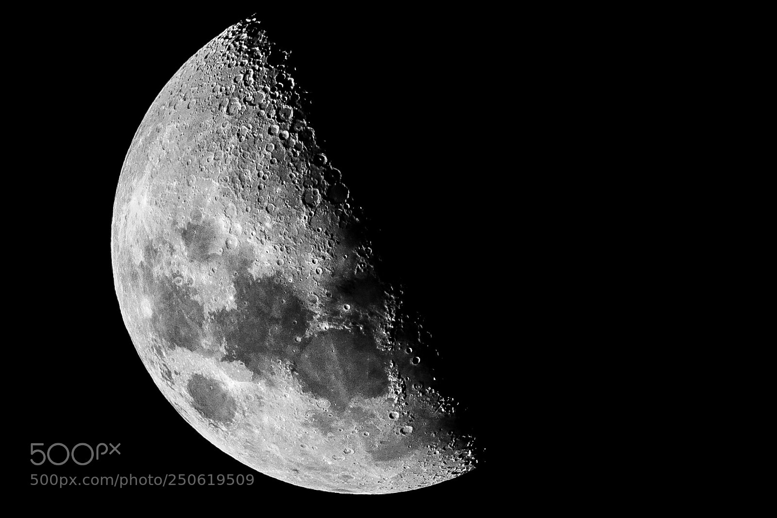 Canon EOS 7D Mark II sample photo. Untitled photography