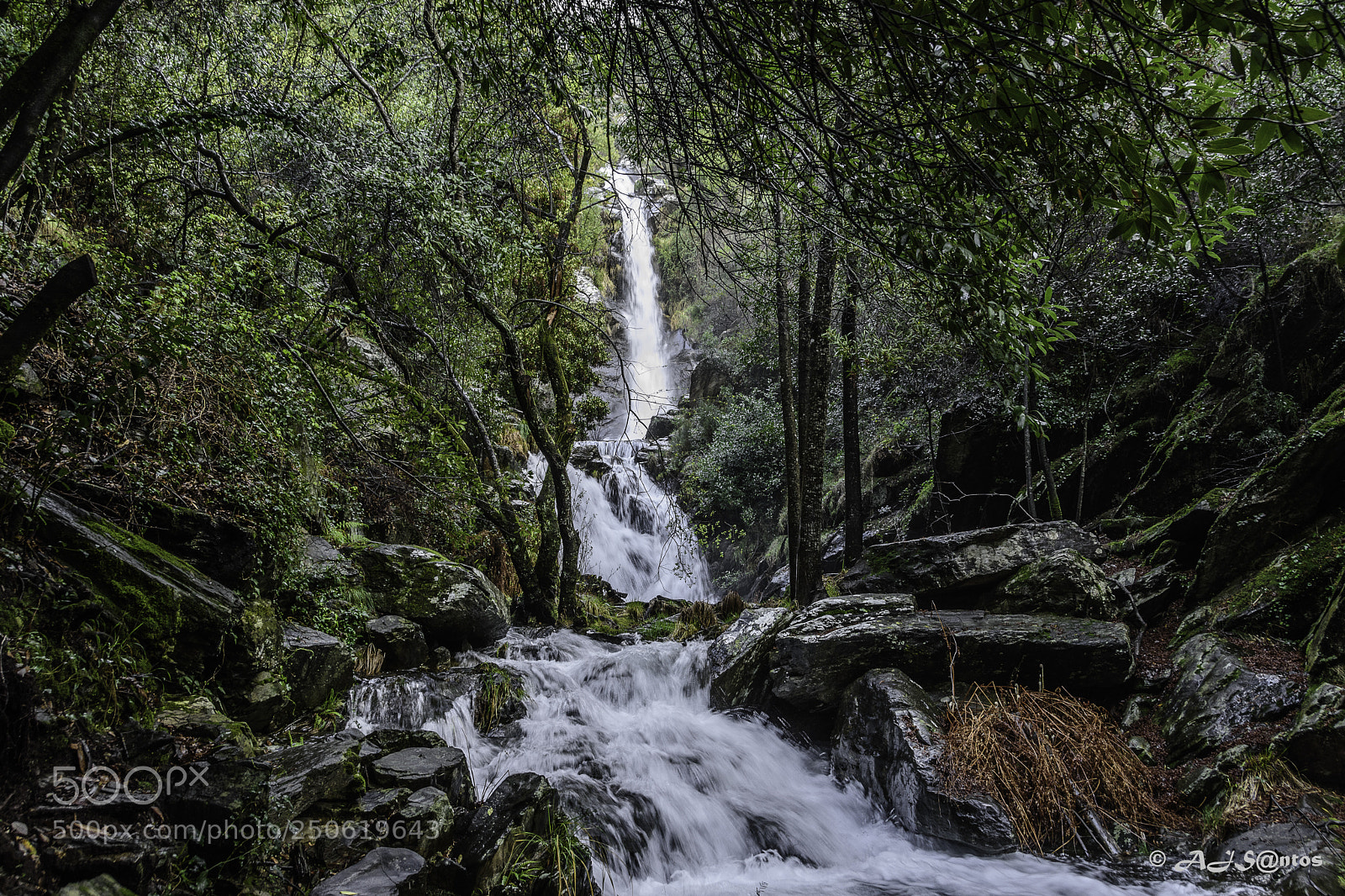 Nikon D7200 sample photo. De fugida, sem rede photography