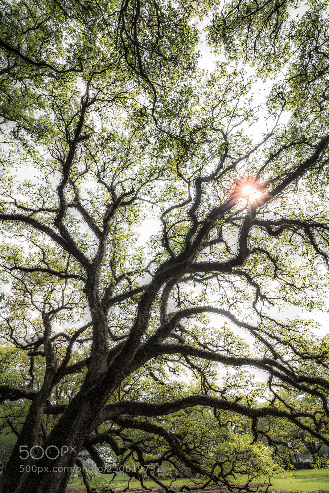 Sony a7R III sample photo. A landscape of defiance photography