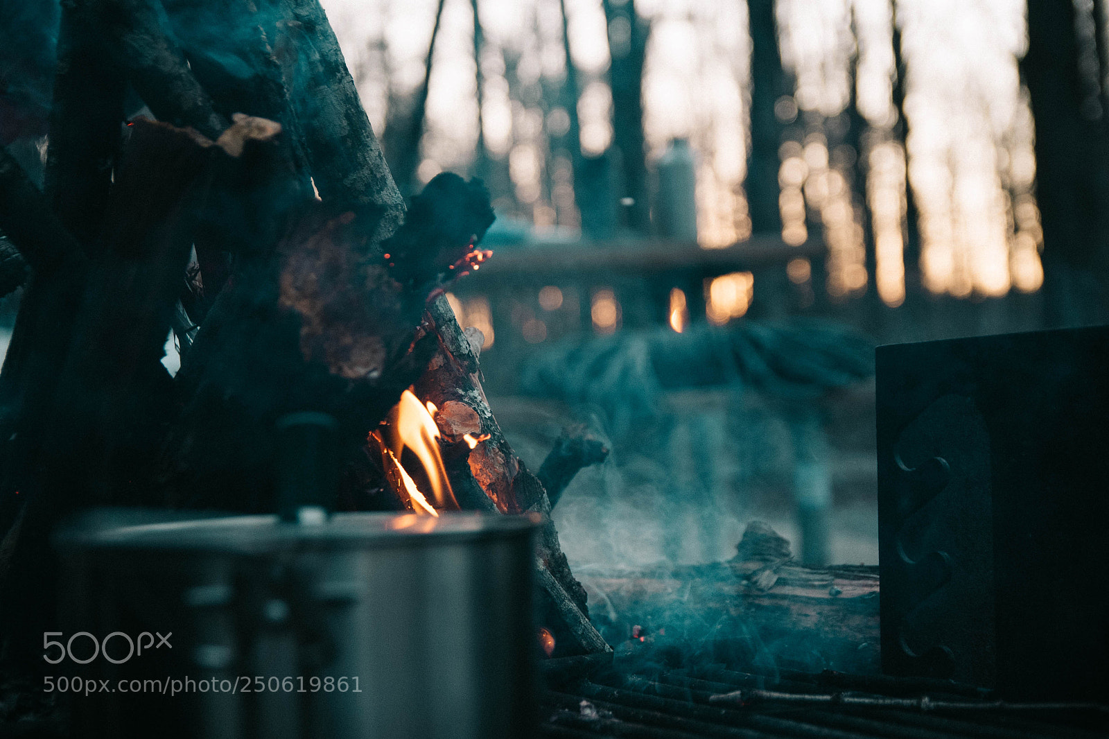 Nikon D750 sample photo. Breakfast with nature photography