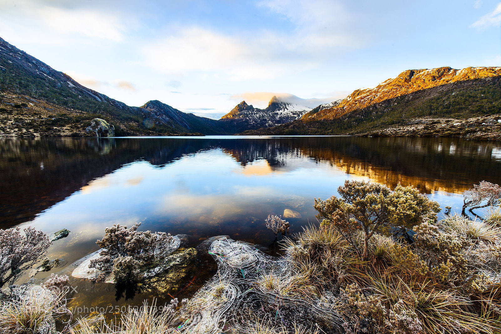 Nikon D800 sample photo. Cradle mountain, morning photography
