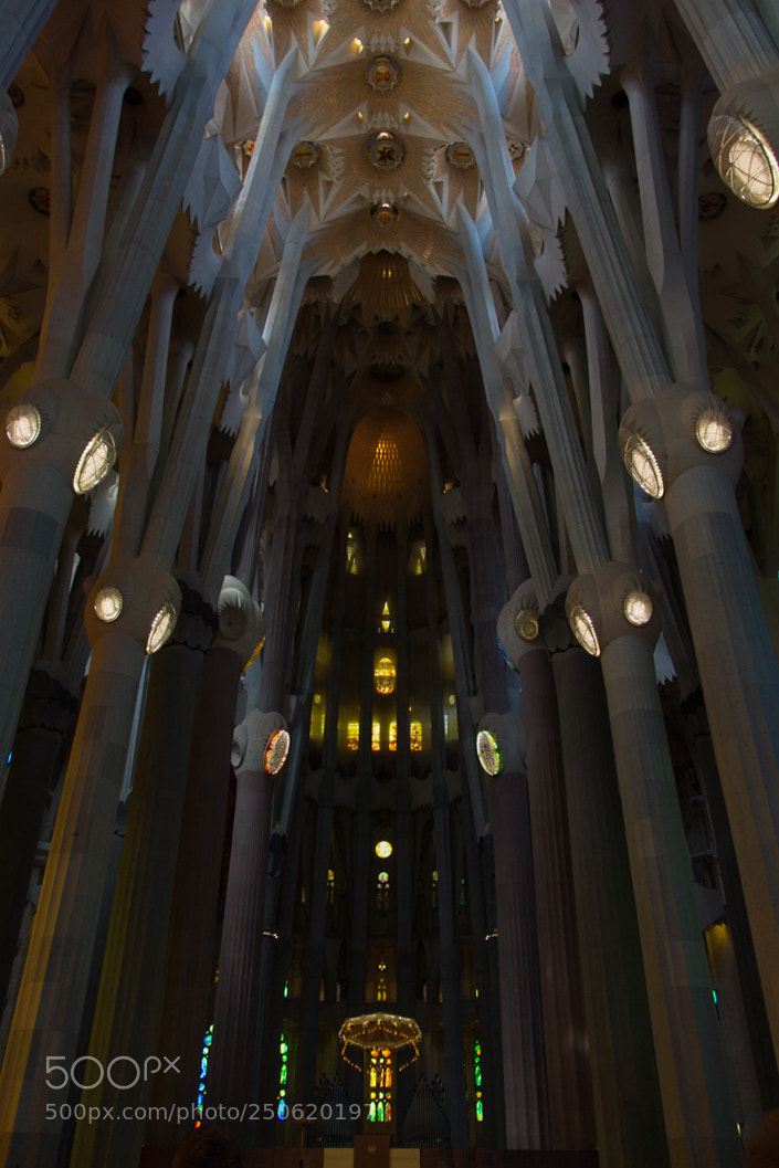 Canon EOS 700D (EOS Rebel T5i / EOS Kiss X7i) sample photo. Barcelona photography