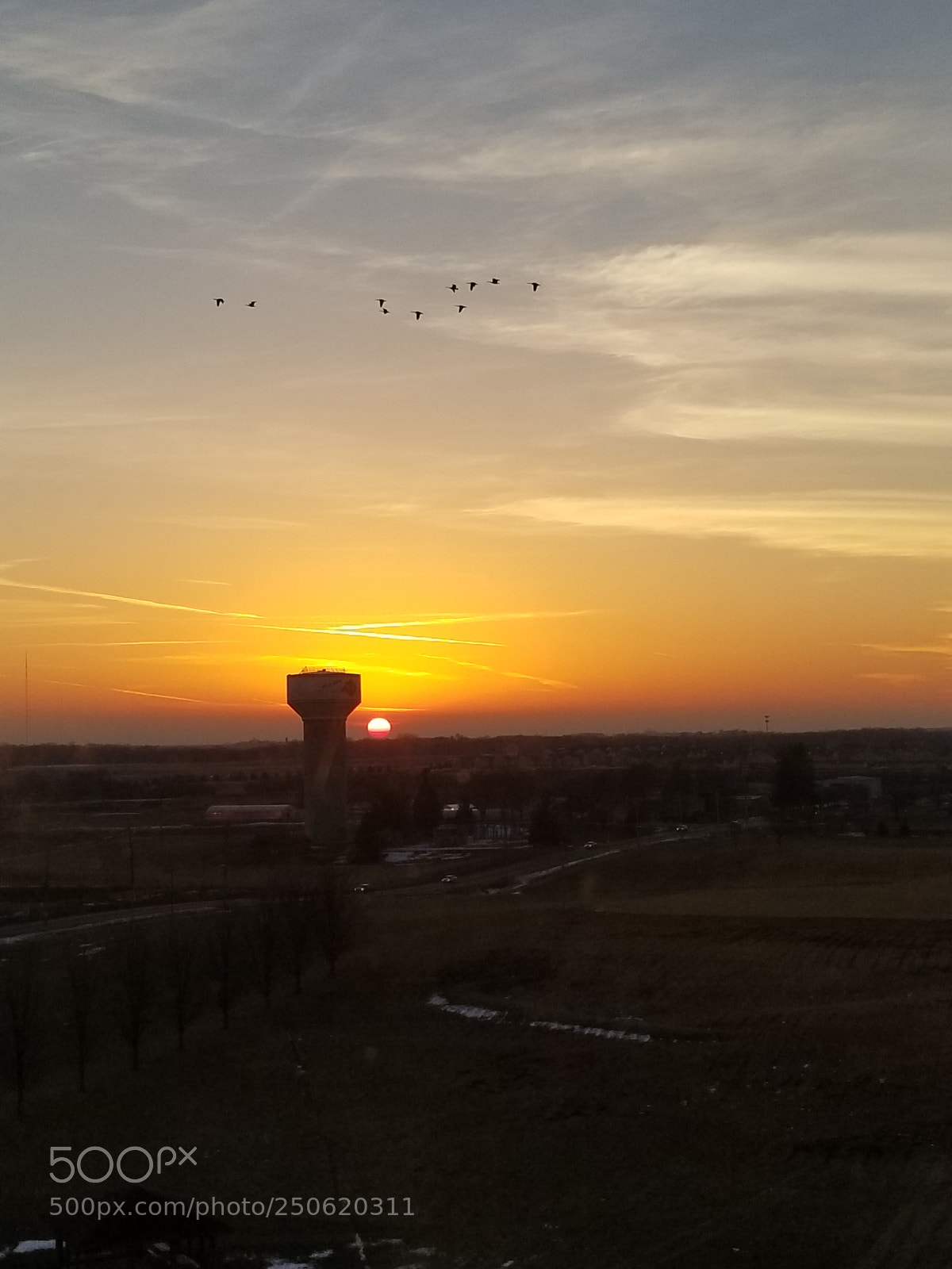 Samsung Galaxy S8 sample photo. Untitled photography