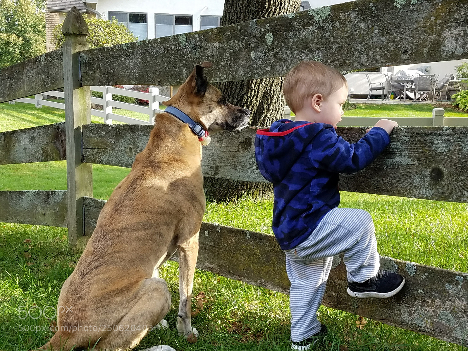 Samsung Galaxy S7 sample photo. A kid and his photography