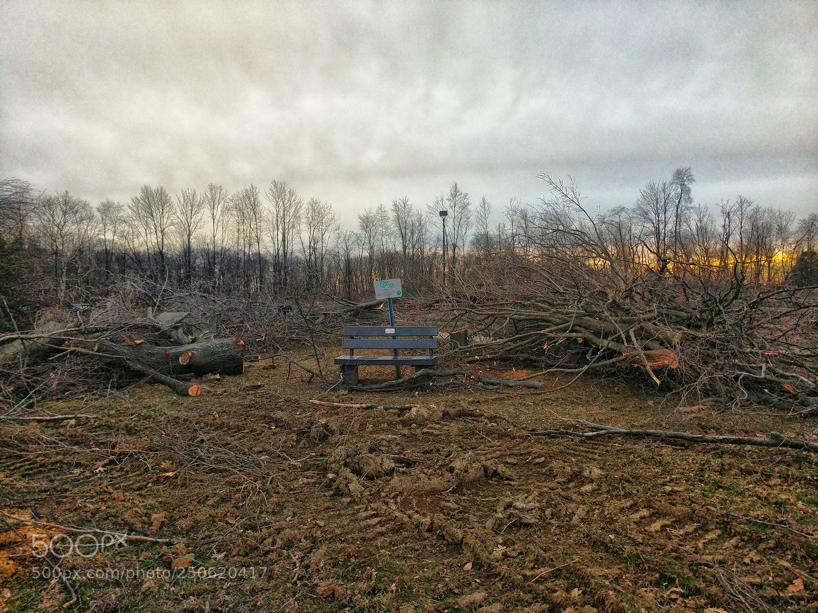 Google Pixel XL sample photo. Bench destruction photography