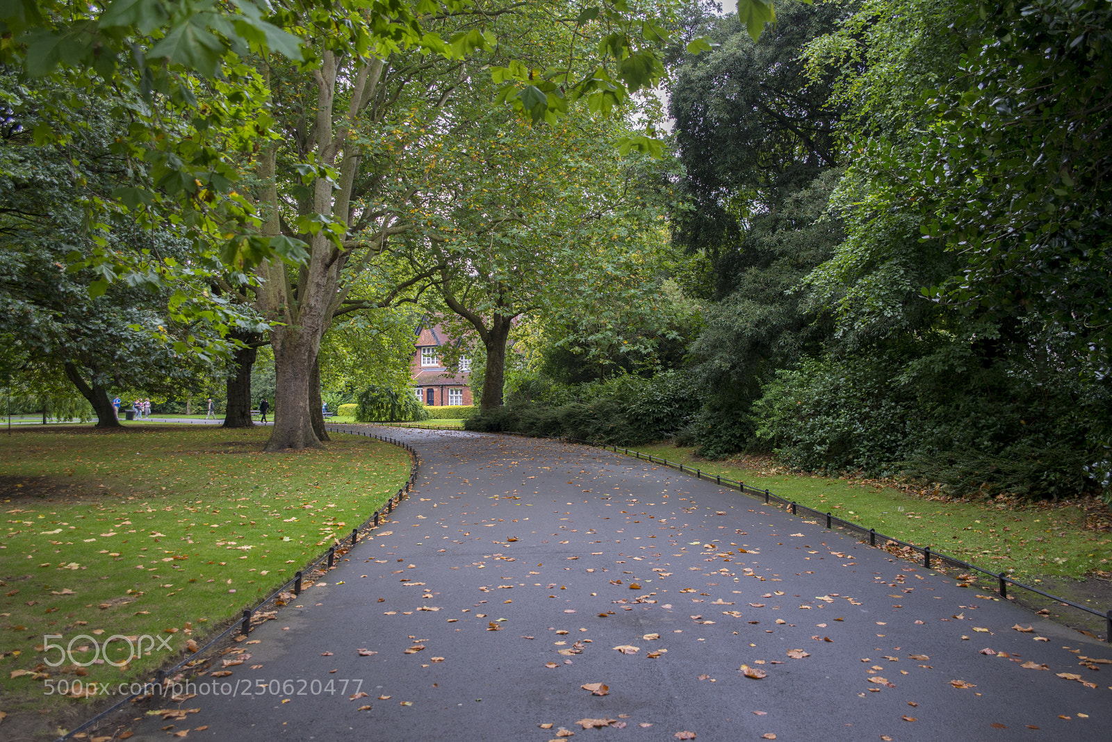 Nikon D600 sample photo. Fall photography