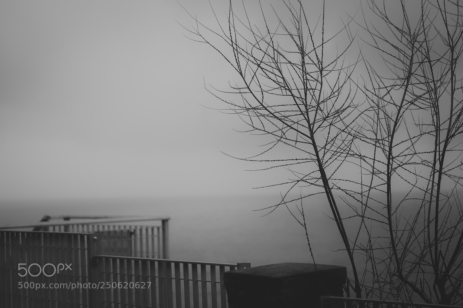 Fujifilm X-T10 sample photo. Quiet photography