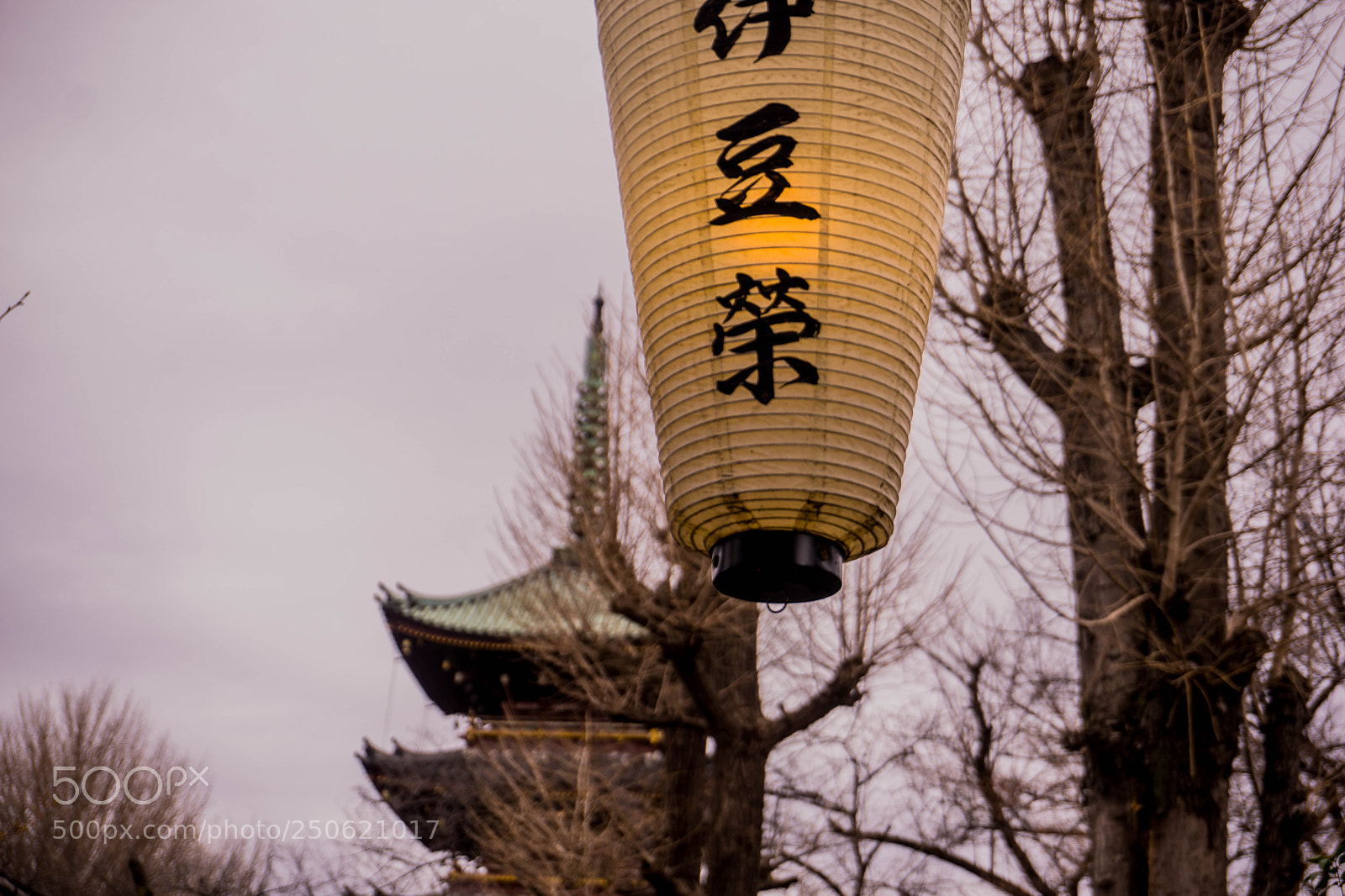 Sony a6000 sample photo. Ueno park photography