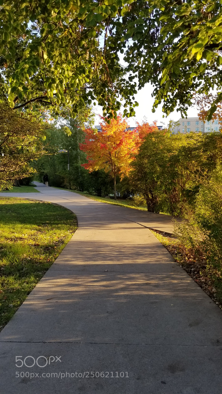 Samsung Galaxy S8 sample photo. Untitled photography
