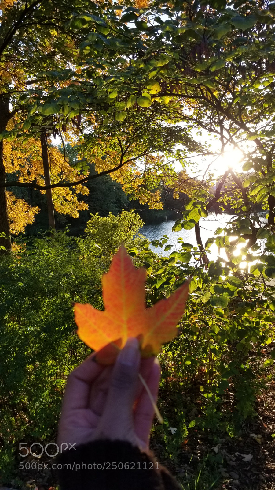 Samsung Galaxy S8 sample photo. Untitled photography