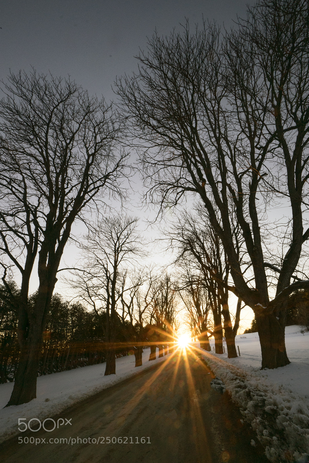 Sony a7 sample photo. Sunset lane photography