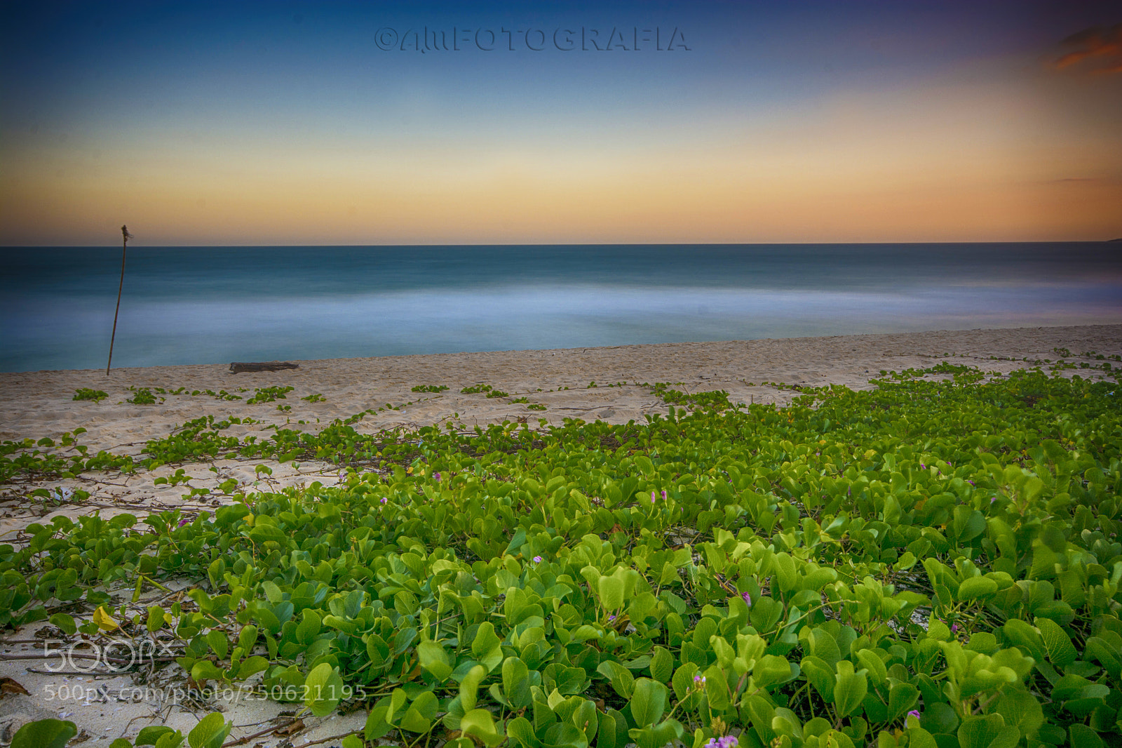 Nikon D7100 sample photo. Serenity photography