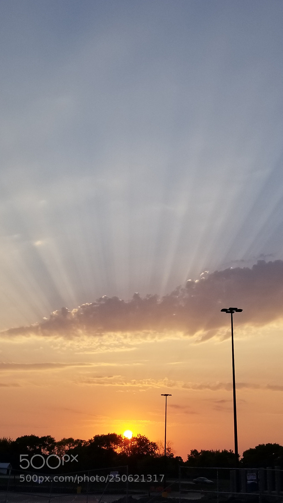 Samsung Galaxy S8 sample photo. Untitled photography