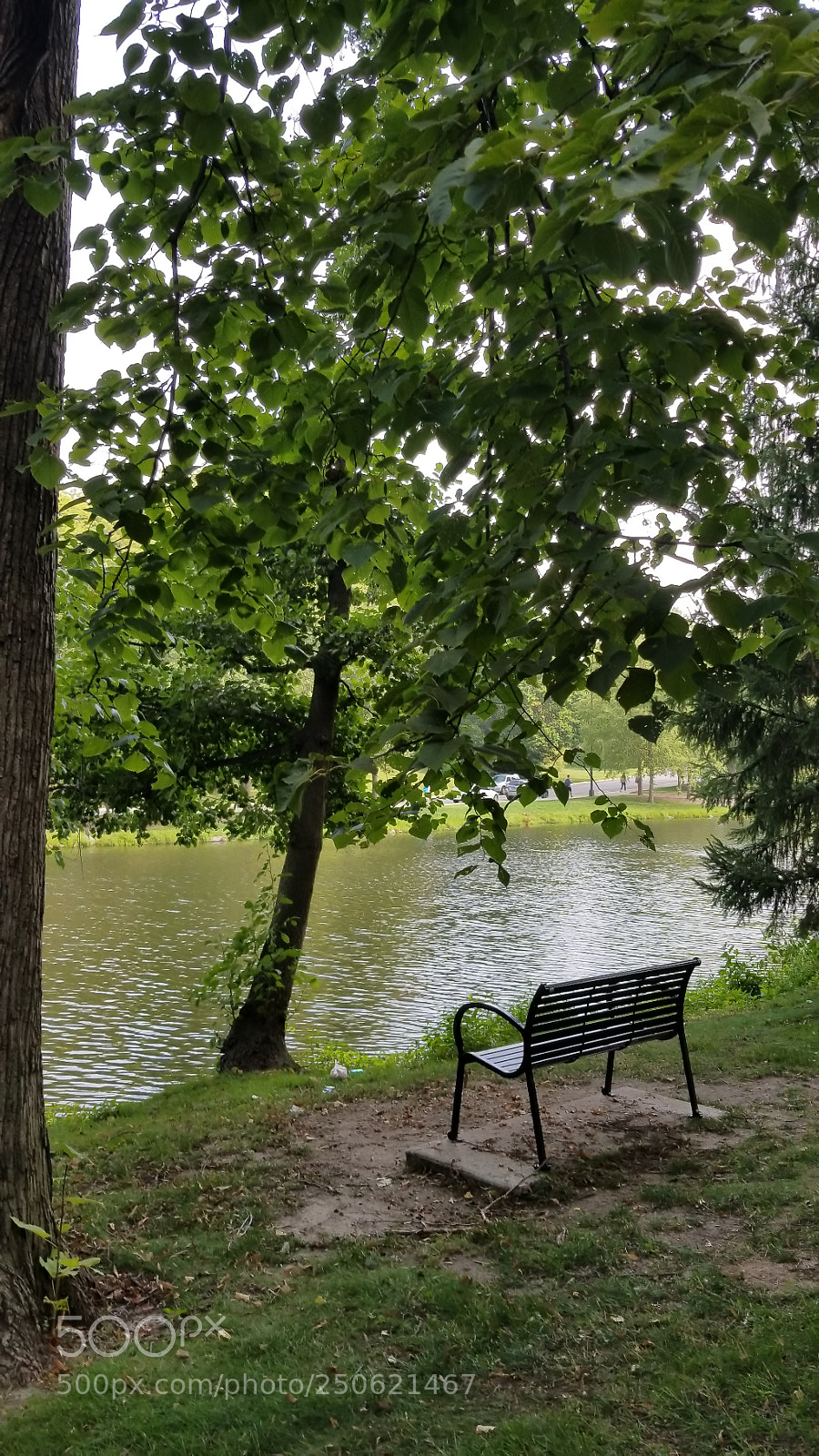 Samsung Galaxy S8 sample photo. Untitled photography