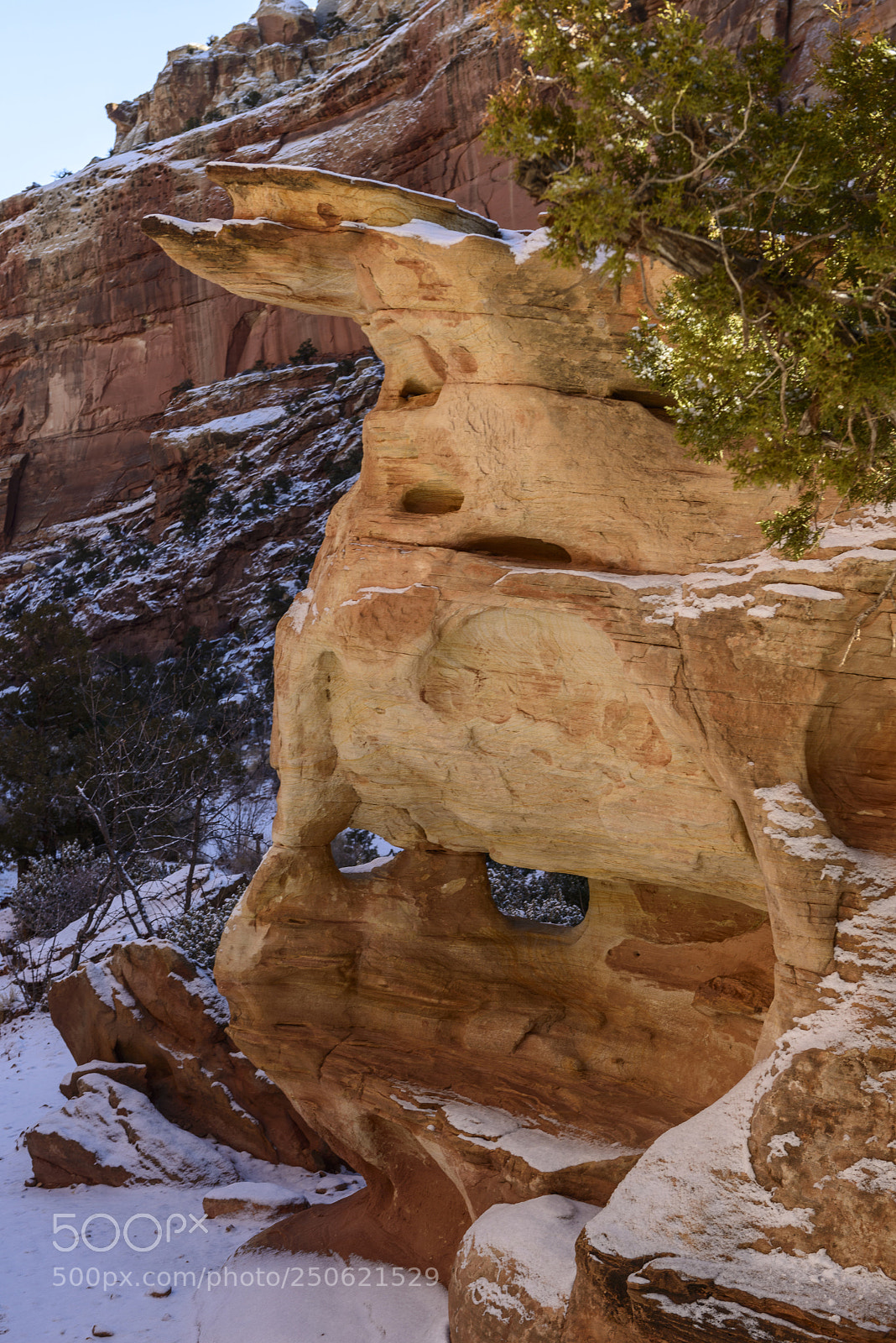 Nikon D800 sample photo. Erosion along the grand photography