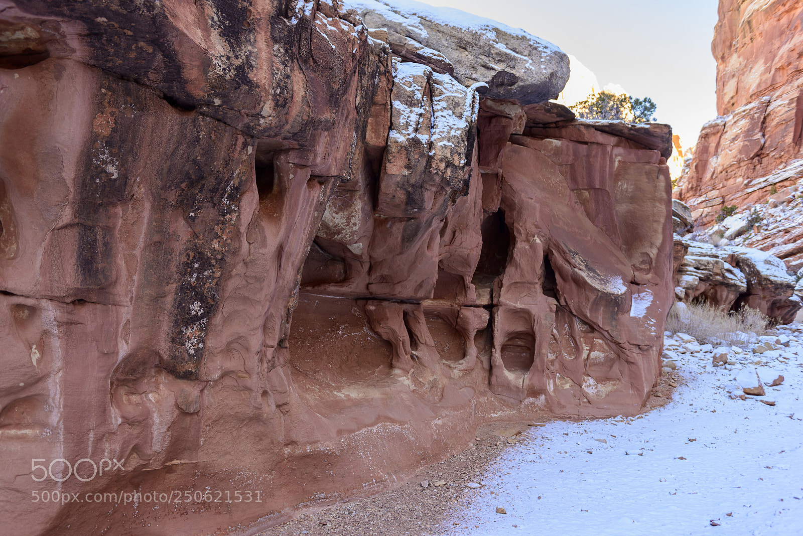 Nikon D800 sample photo. Grand wash trail photography