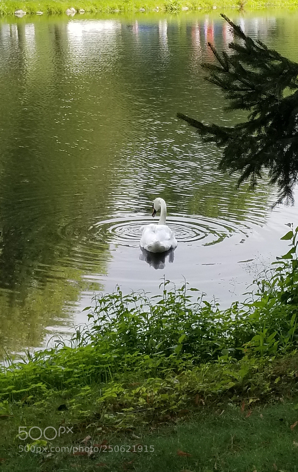 Samsung Galaxy S8 sample photo. Untitled photography
