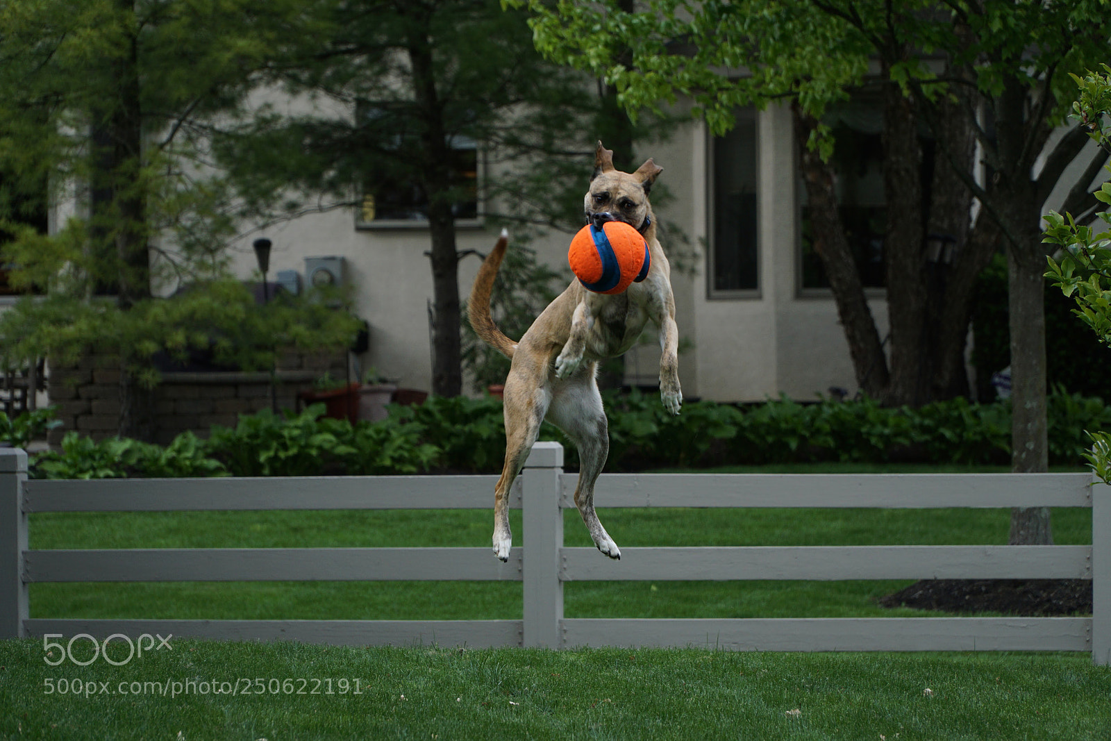 Sony a6000 sample photo. High flying photography