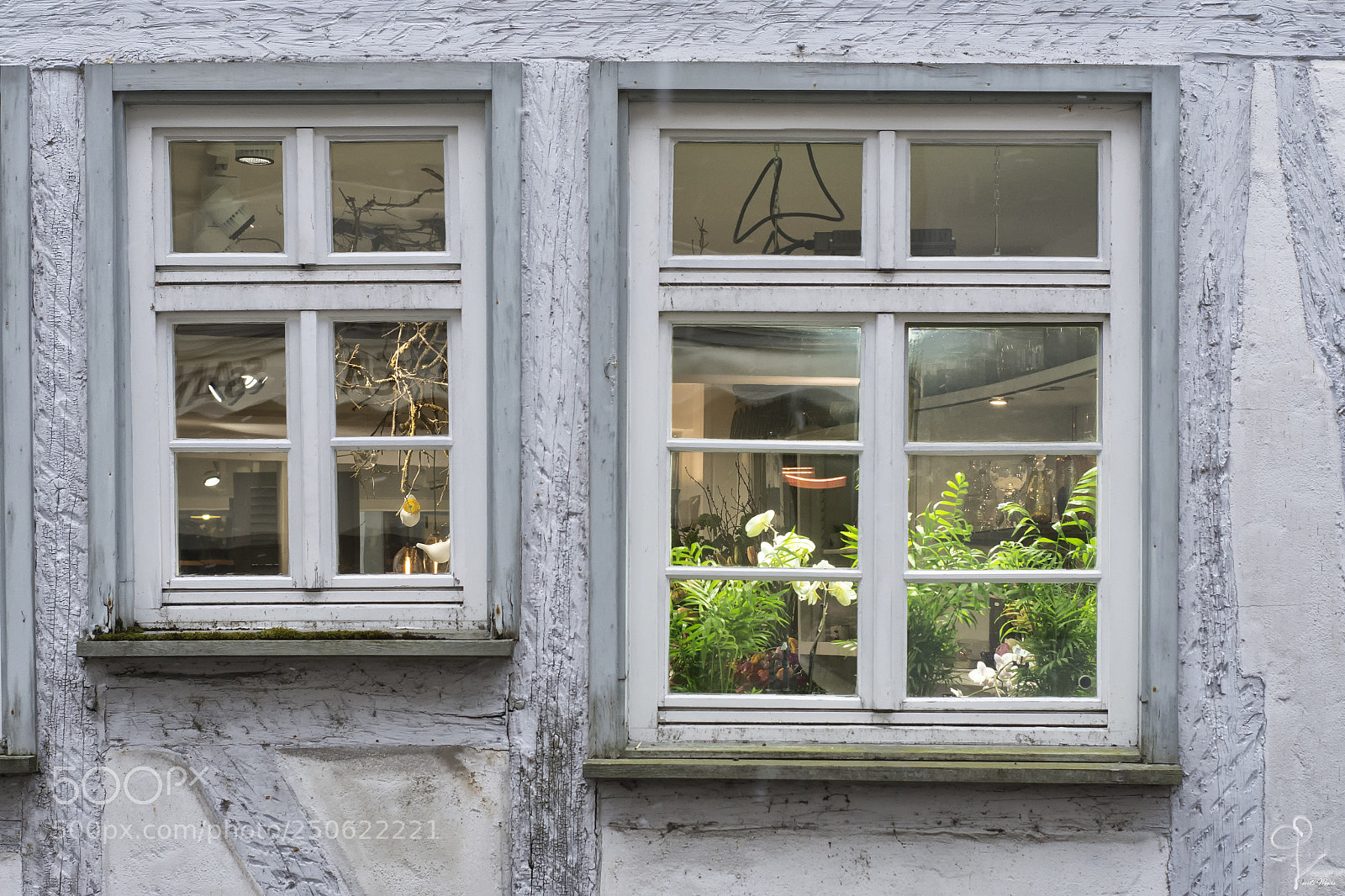 Nikon D7100 sample photo. Blumenladen in tübingen photography