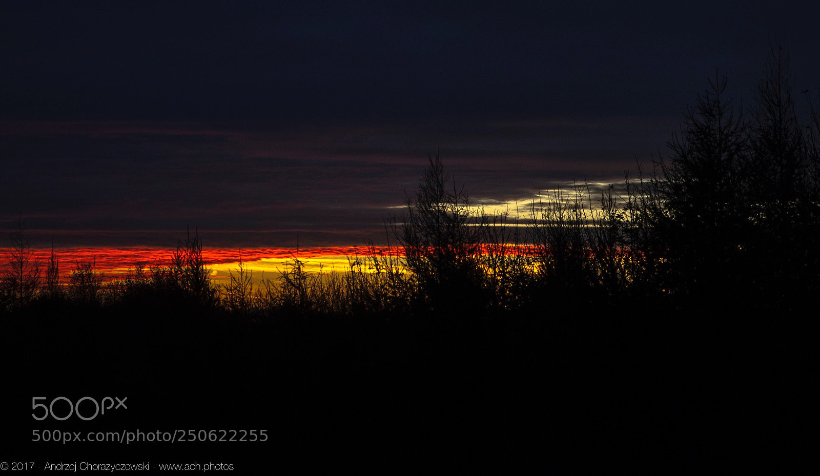 Nikon D90 sample photo. Sunrise photography