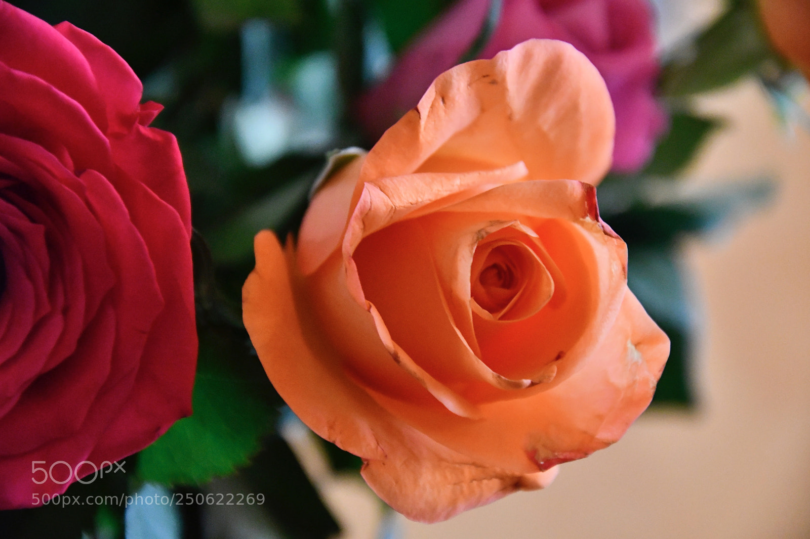 Nikon D7500 sample photo. Light yellow one photography