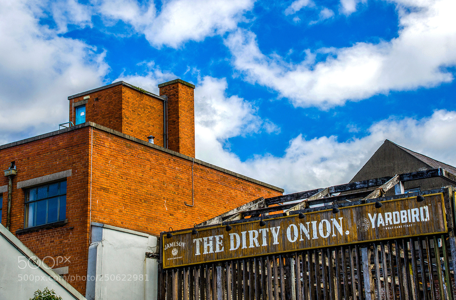 Nikon D7000 sample photo. The dirty onion photography
