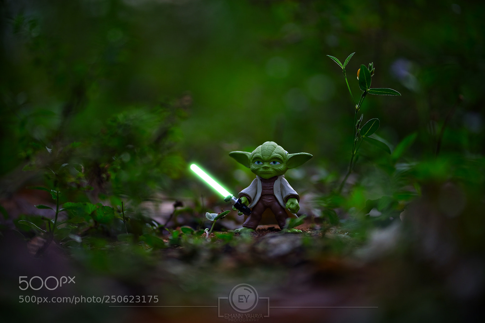 Sony a7 sample photo. Feel the force, you photography