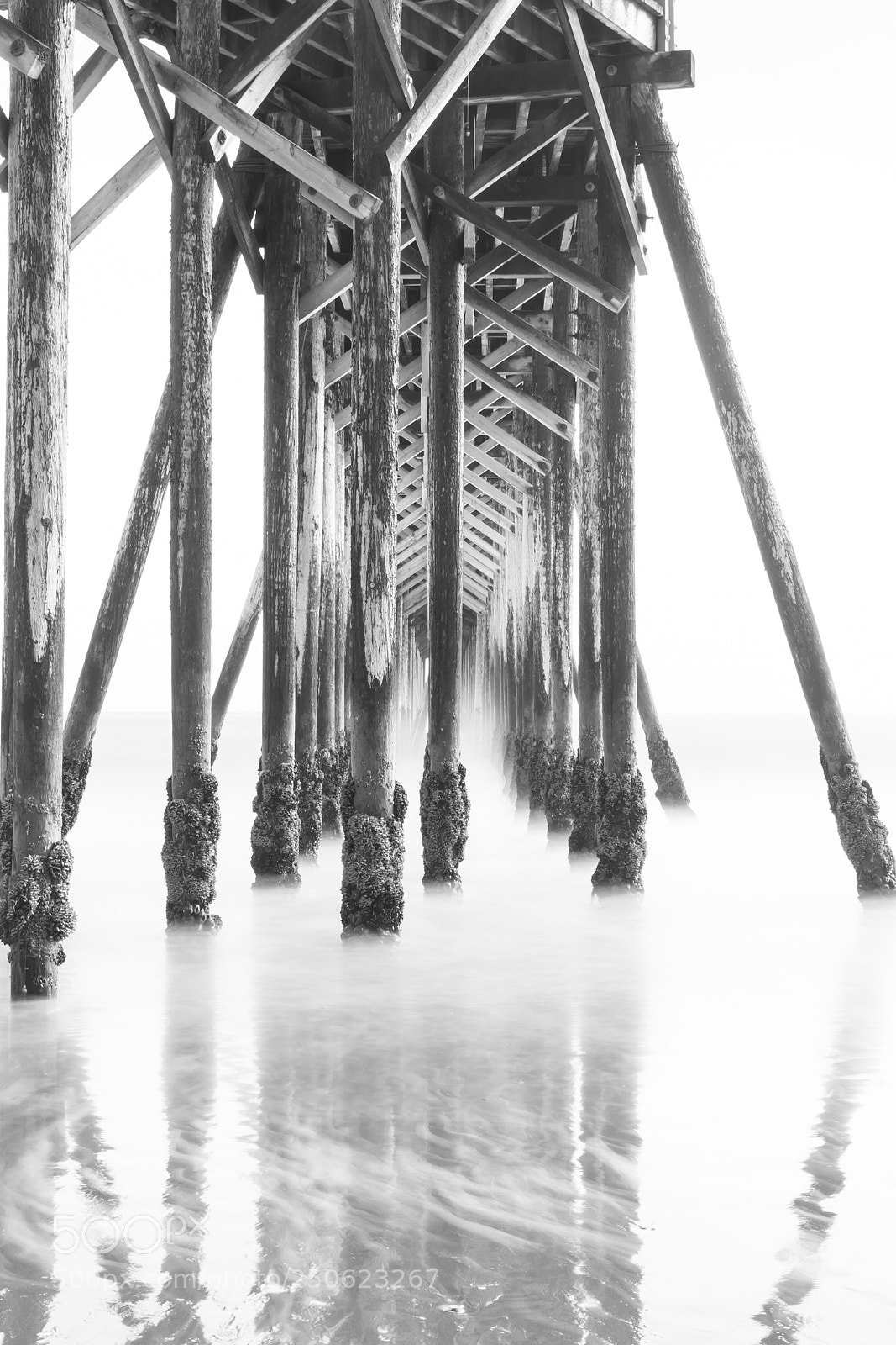 Canon EOS 5D Mark IV sample photo. Mirroring from below photography