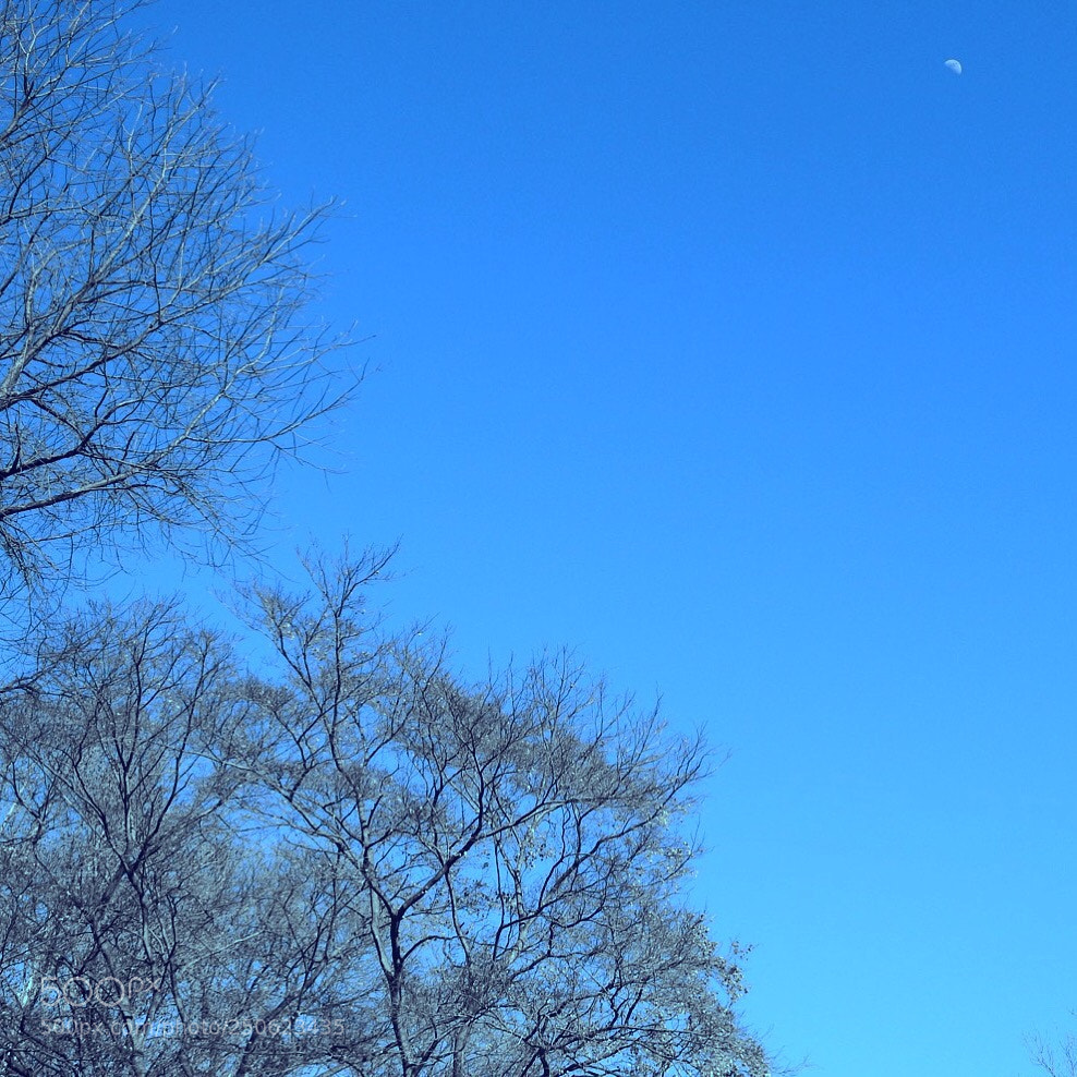 Nikon Coolpix P900 sample photo. Mr blue sky photography