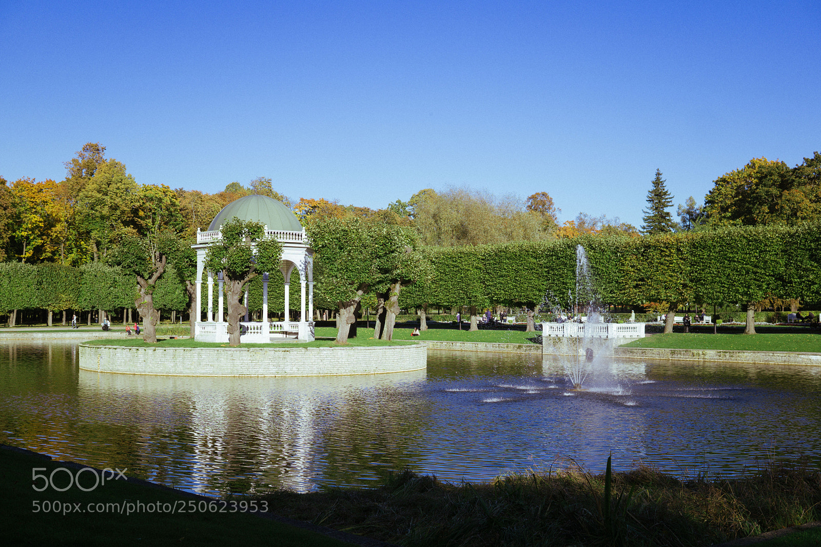 Sony a6000 sample photo. Dsc00274-2.jpg photography