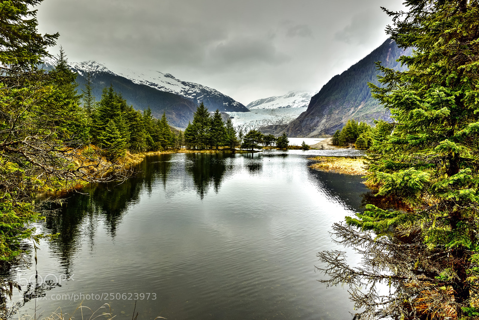 Nikon D750 sample photo. Mendenhall glacier and waterway photography