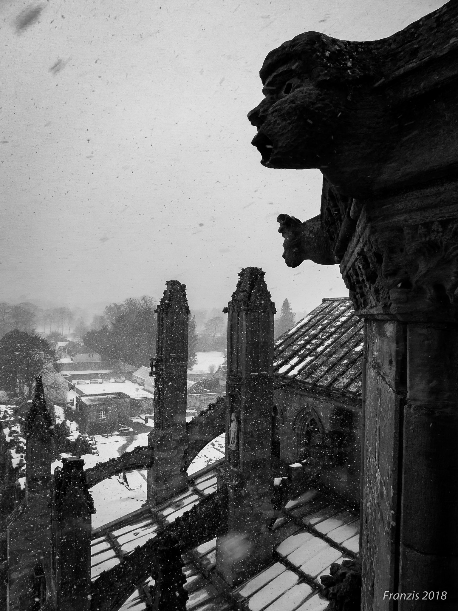 Panasonic Lumix DMC-LX5 sample photo. Melrose abbey photography