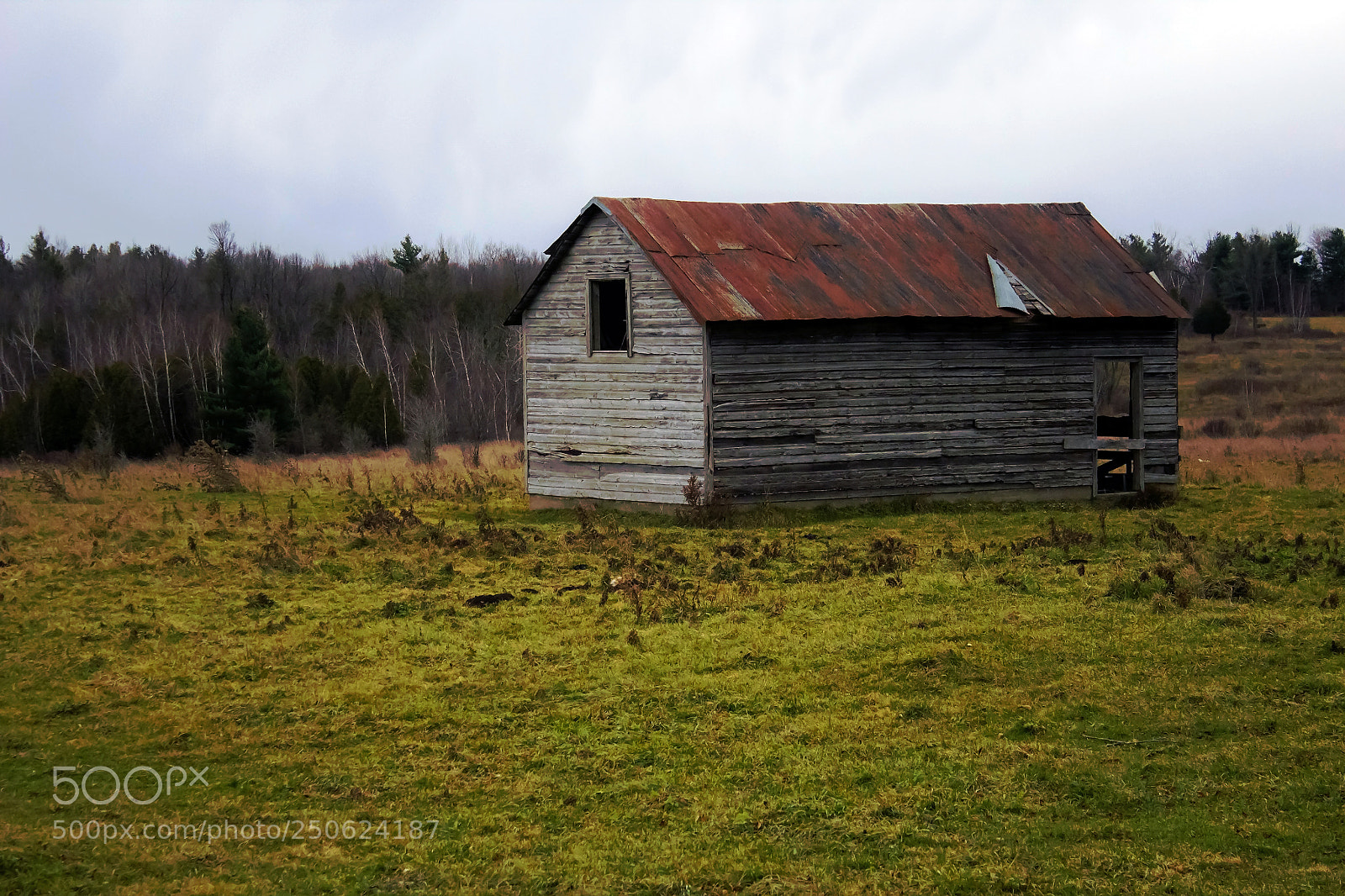 Canon EOS 600D (Rebel EOS T3i / EOS Kiss X5) sample photo. Old shed in a photography