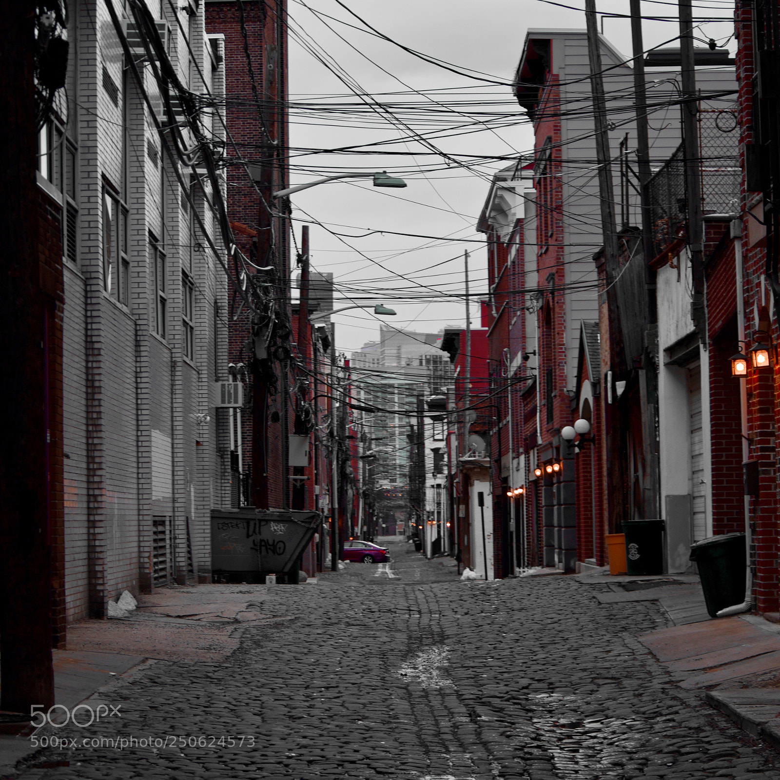 Canon EOS 750D (EOS Rebel T6i / EOS Kiss X8i) sample photo. Red & black photography