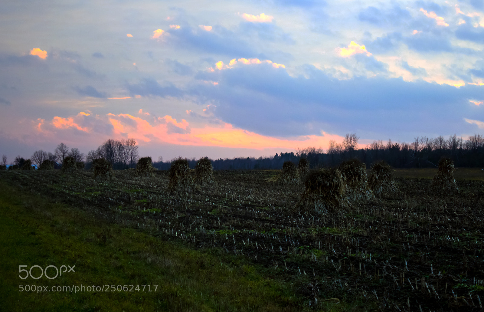 Canon EOS 600D (Rebel EOS T3i / EOS Kiss X5) sample photo. Amish field in autumn photography