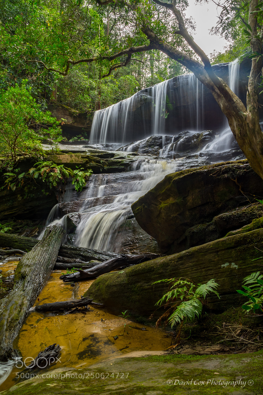 Sony SLT-A58 sample photo. Somersby falls, nsw photography
