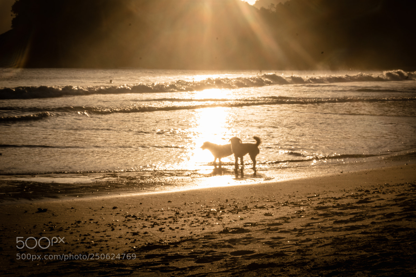 Nikon D5200 sample photo. Camburí beach photography