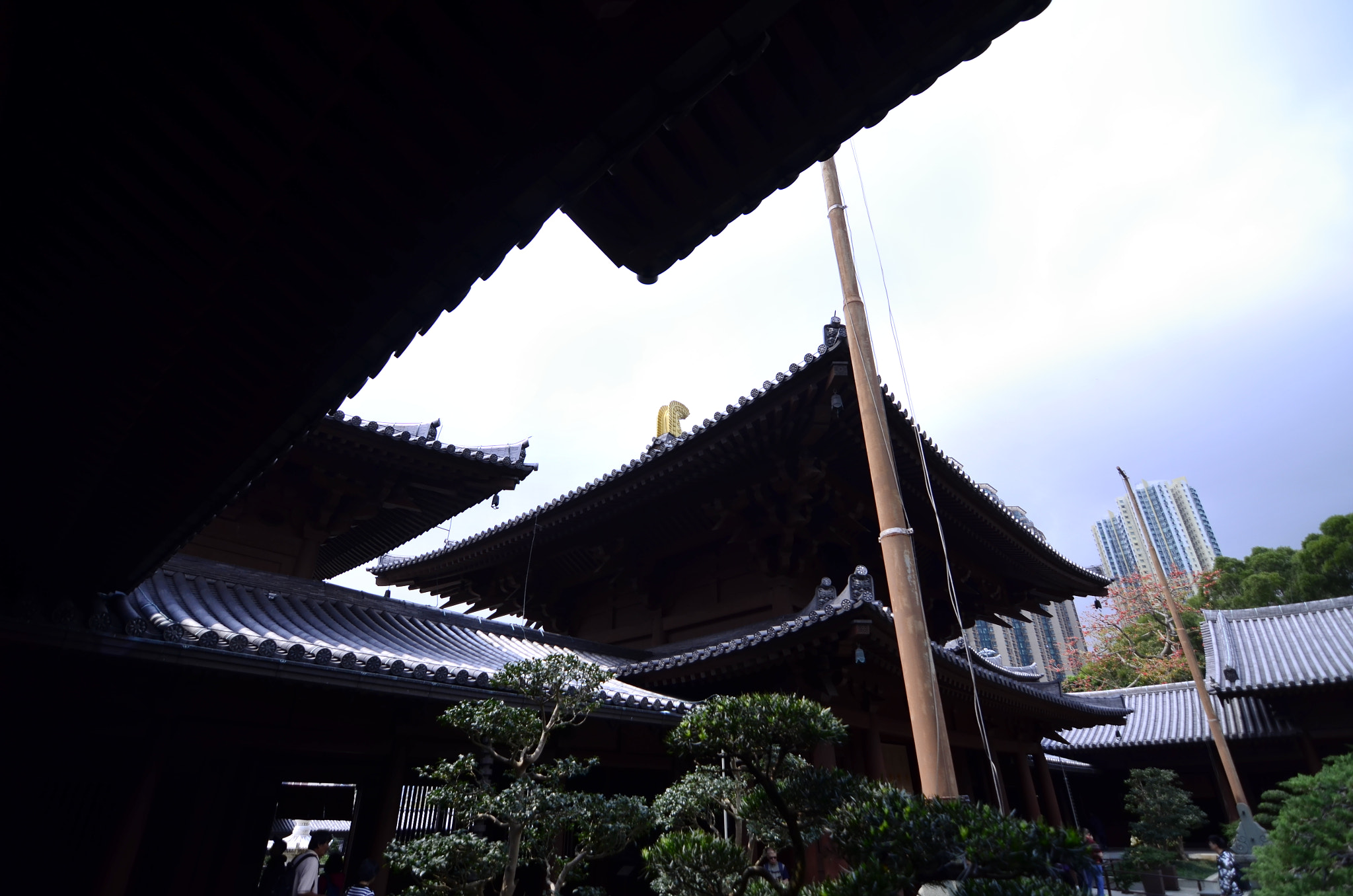 Nikon D7000 sample photo