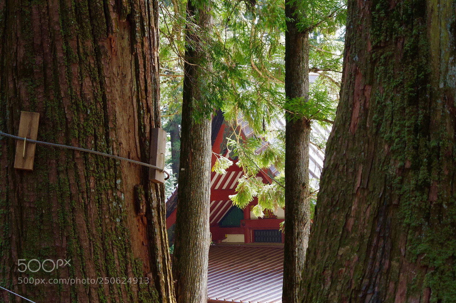 Pentax K-S2 sample photo. Historical. photography