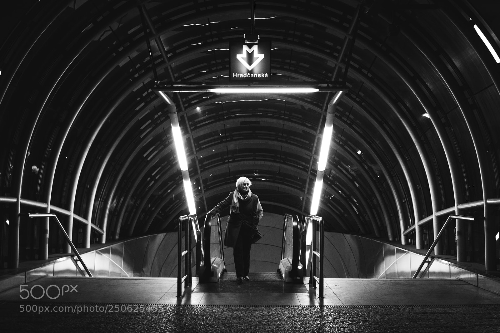 Nikon D800E sample photo. Among the stairs photography