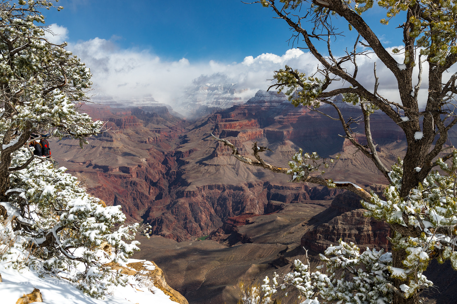 Canon EOS 6D Mark II sample photo. Snowy grand canyon photography
