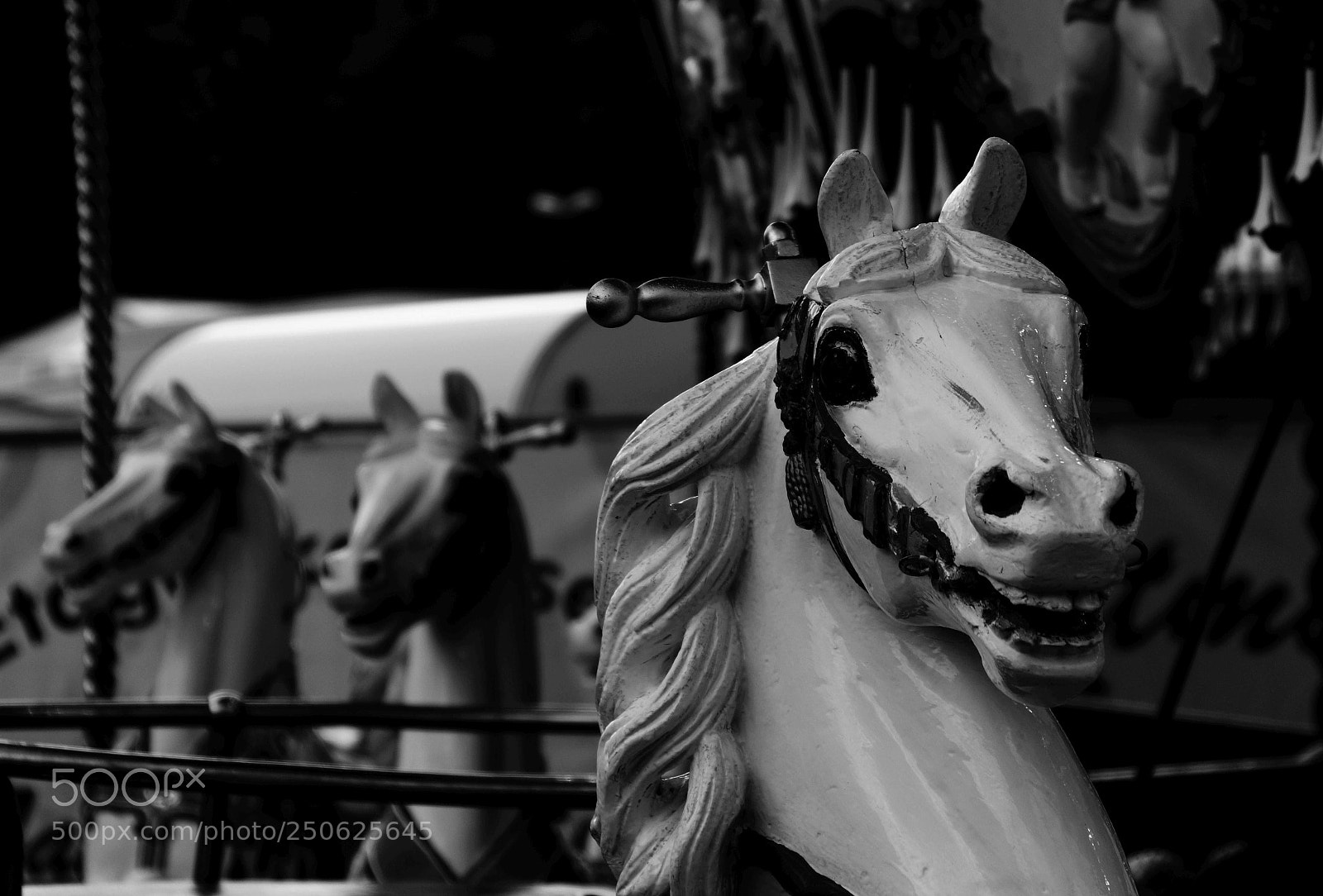 Sony SLT-A58 sample photo. Carousel horse photography