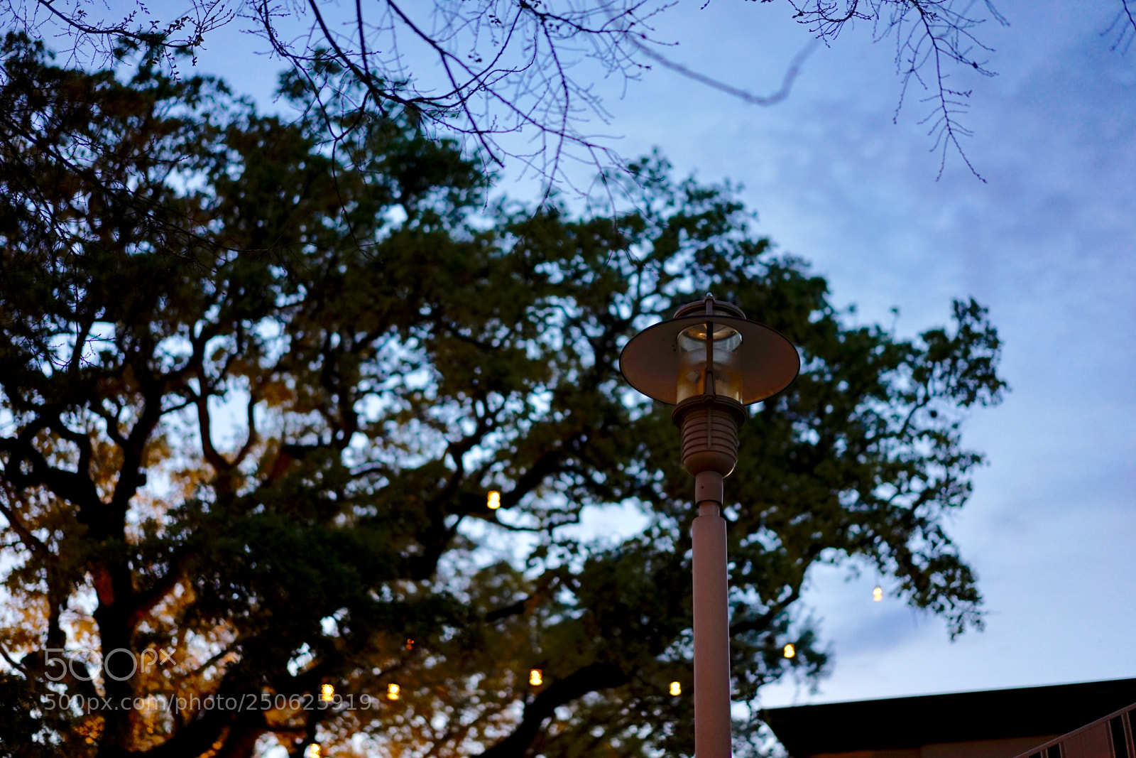 Sony a7 II sample photo. Lamp photography